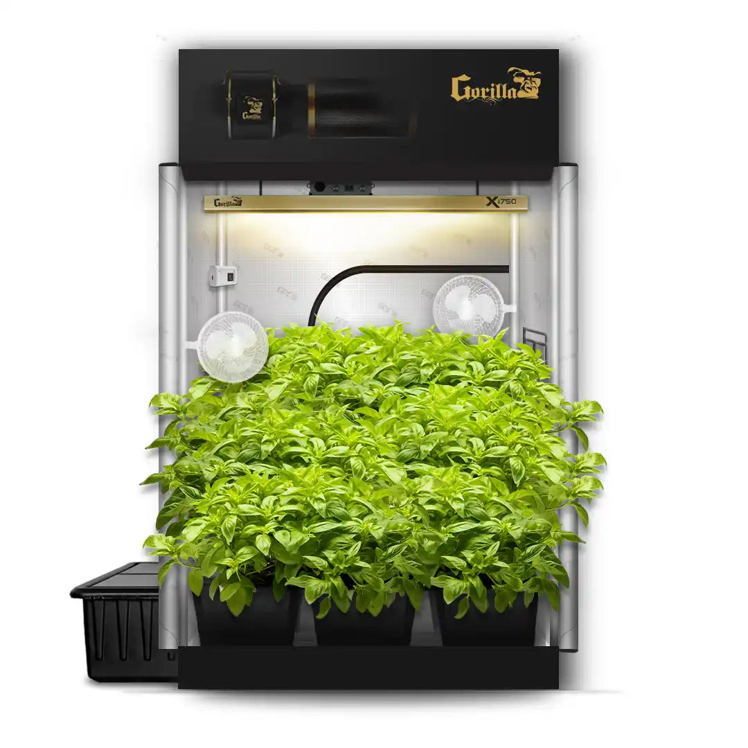 5x5 Grow Tent Kit Pro - Hydroponic with X750