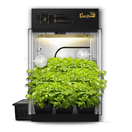 5x5 Grow Tent Kit Pro - Hydroponic with X750