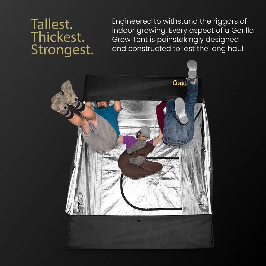 5x5 Grow Tent Kit Pro - Hydroponic with X750