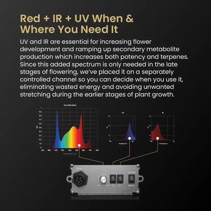 5x5 Grow Tent Kit Pro - Hydroponic with X750