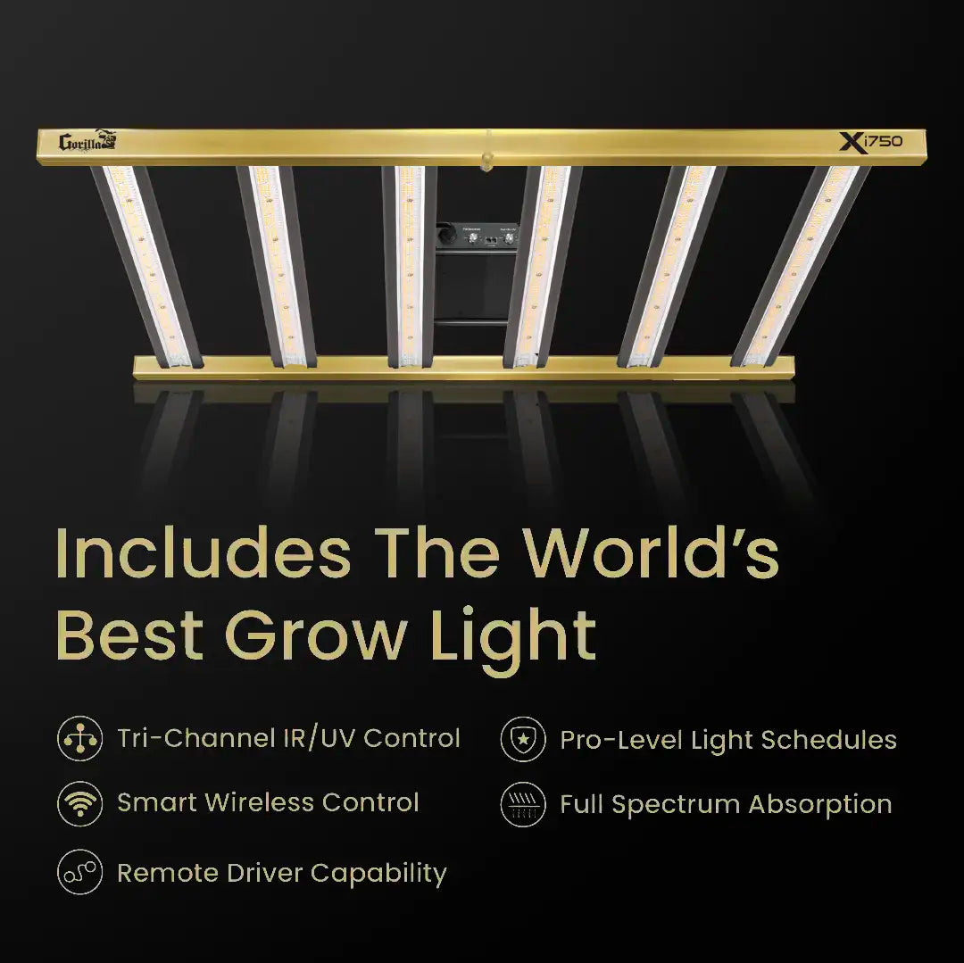 5x5 Grow Tent Kit Pro - Hydroponic with X750