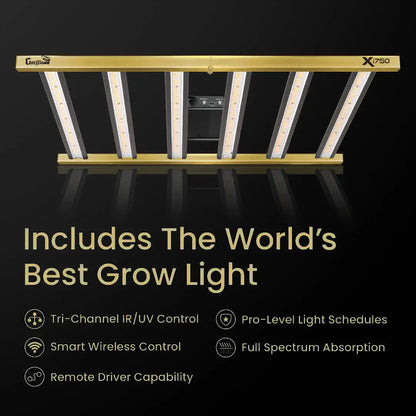 5x5 Grow Tent Kit Pro - Hydroponic with X750